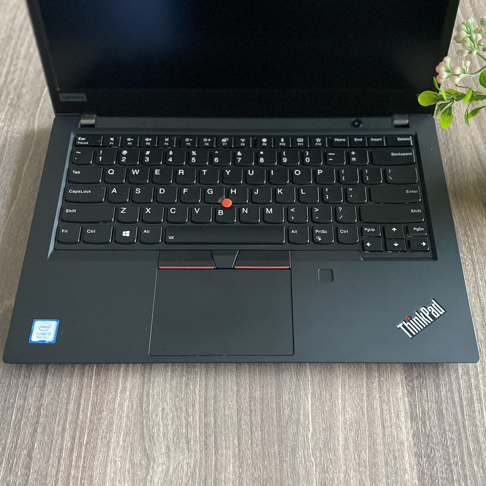 Lenovo Thinkpad T490