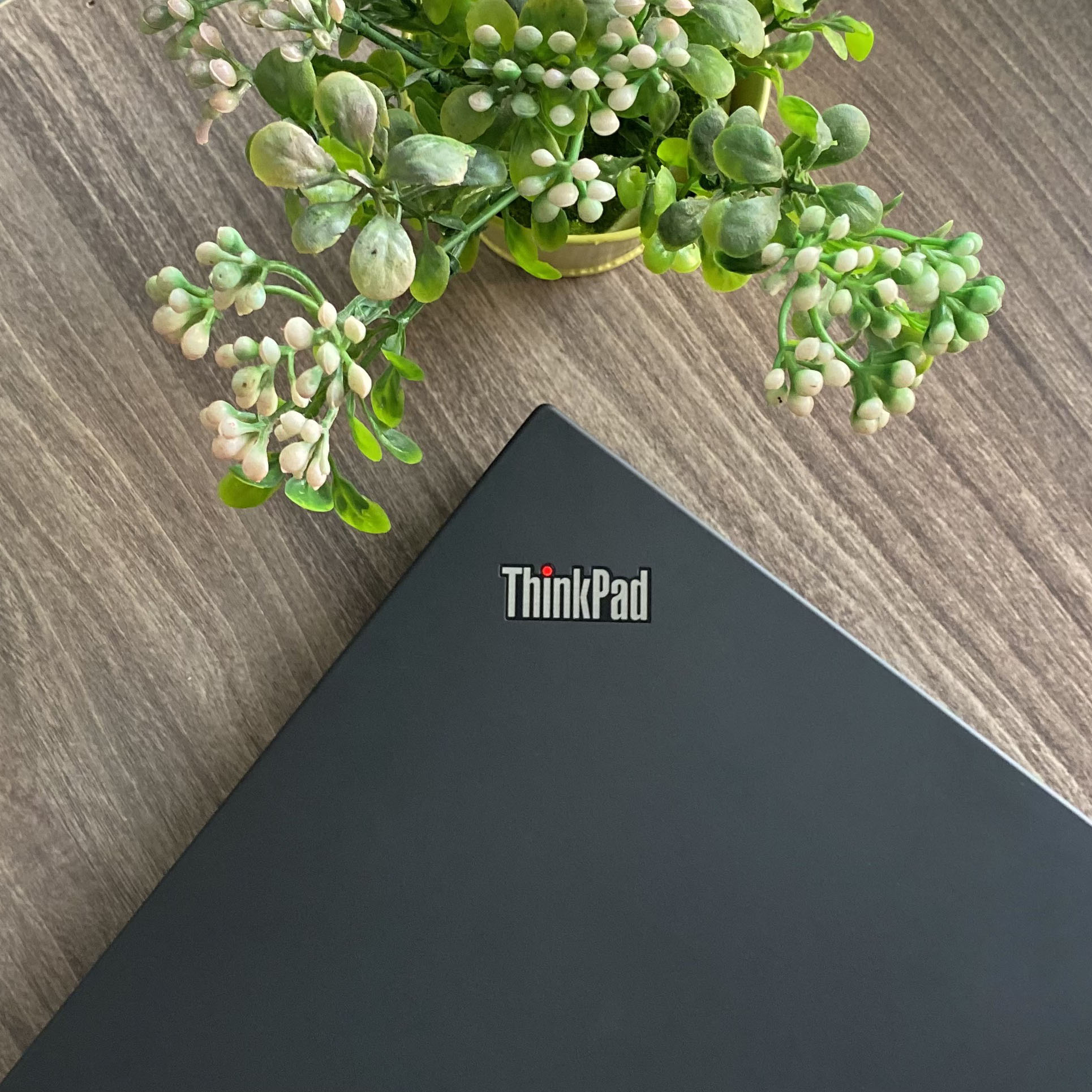 Lenovo Thinkpad T490