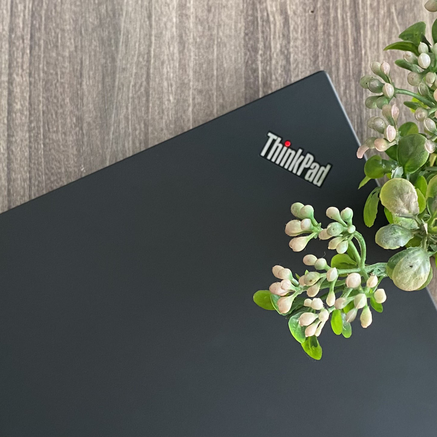 Lenovo Thinkpad T490