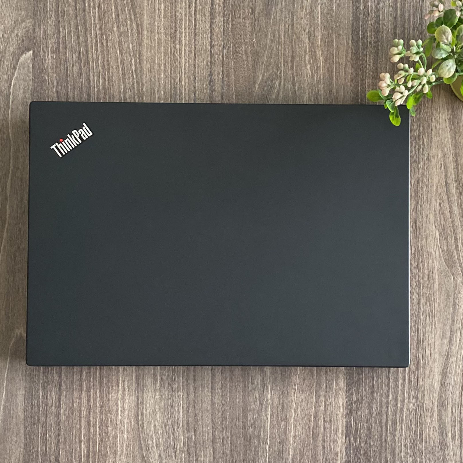 Lenovo Thinkpad T490
