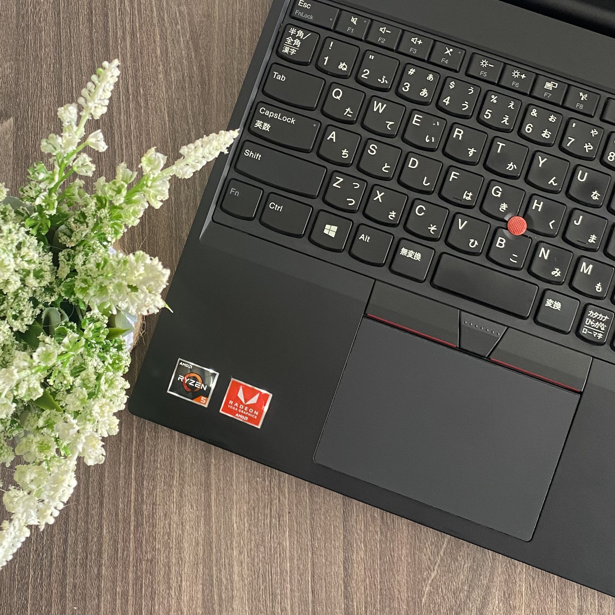 Lenovo Thinkpad E585 Màn Hình 15.6 inch