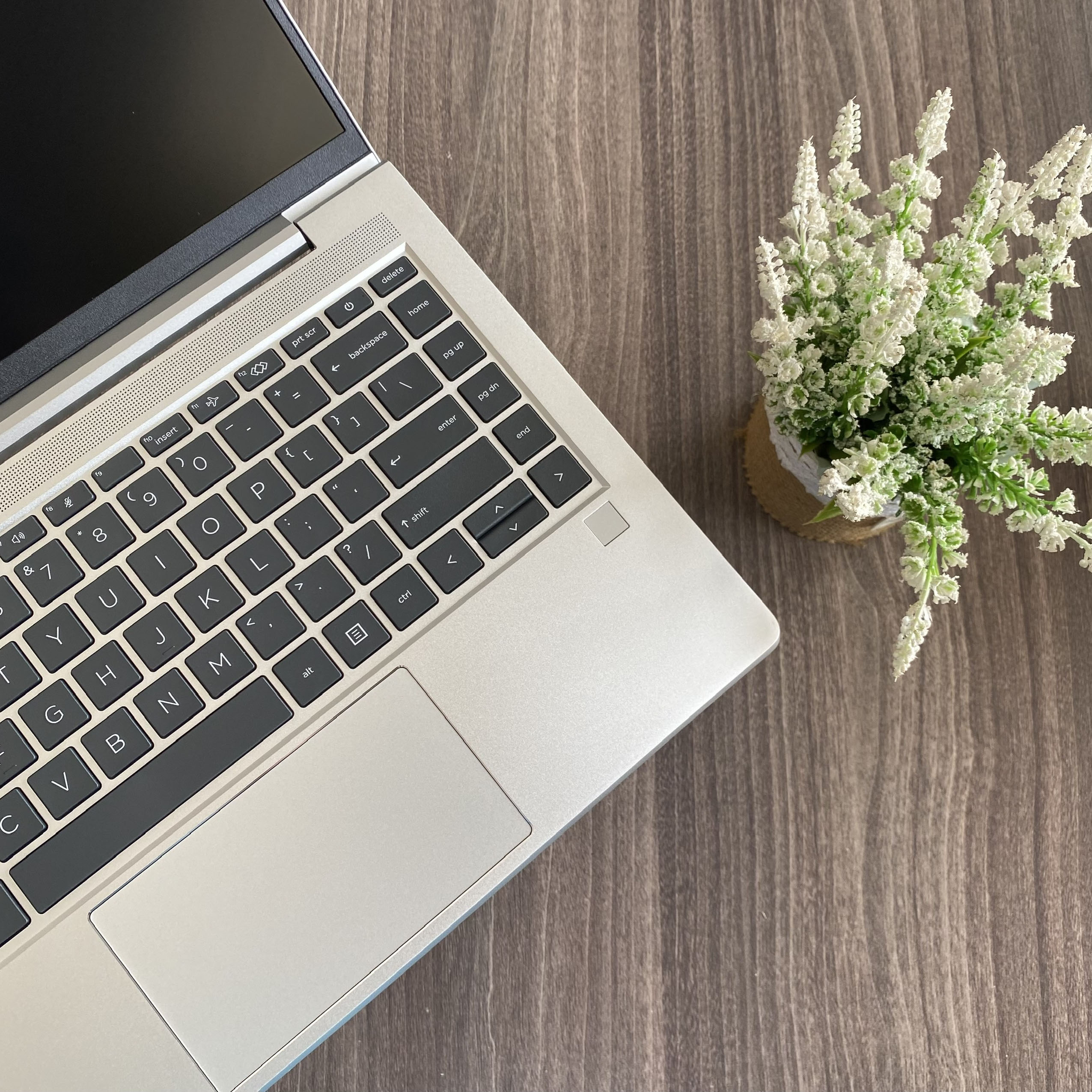 HP Elitebook 645 G10